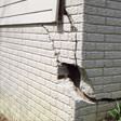 foundation walls cracked due to settlement in Newark