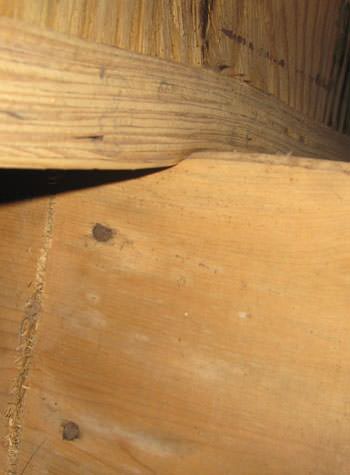 severe damage to a crawl space structure in a Bayonne home