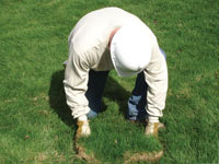 Restoring the landscaping by replacing removed lawn sections for a Tom's River home.