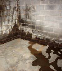Water seeping through a concrete wall in a West New York, NJ basement