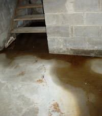 Flooding floor cracks by a hatchway door in Belleville, NJ
