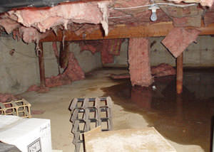 Fiberglass dripping off of the ceilings of a Elizabeth crawl space