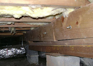 sagging crawl space with wooden shimming a Trenton crawl space