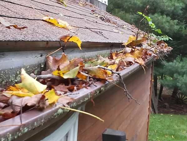 NJ, PA, and NYC clogged gutters