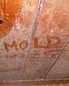 The word mold written with a finger on a moldy wood wall in Lakewood